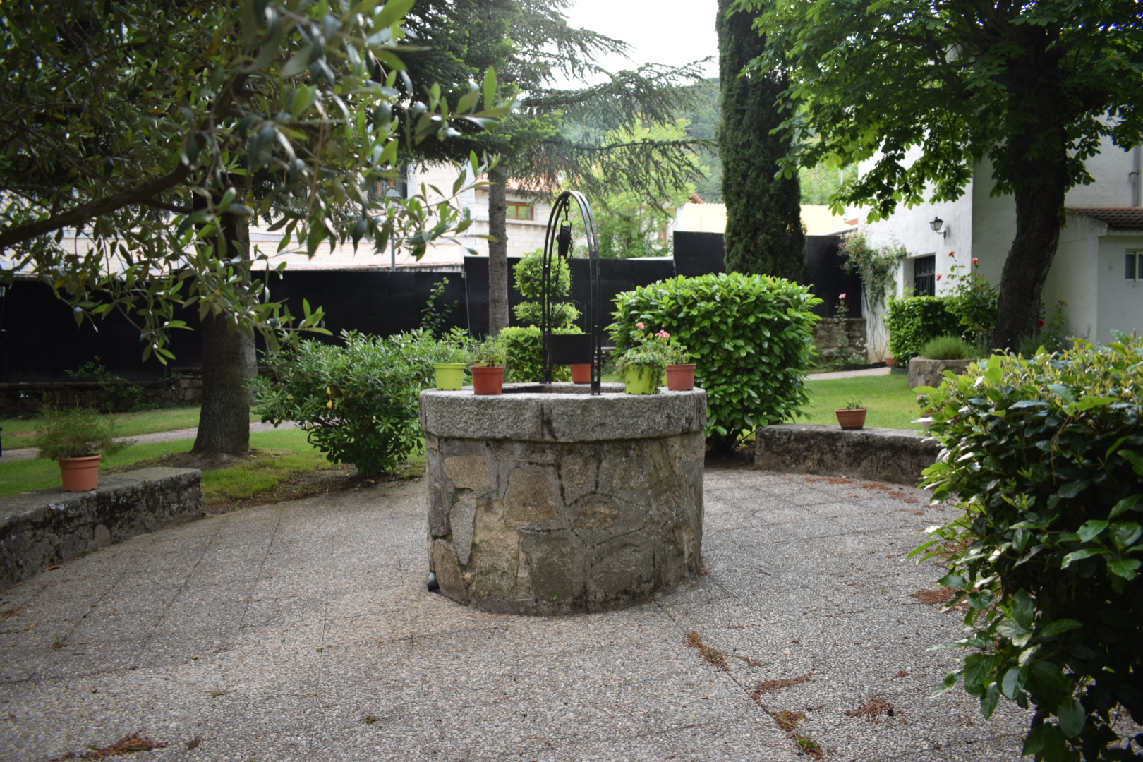 DSC_1978