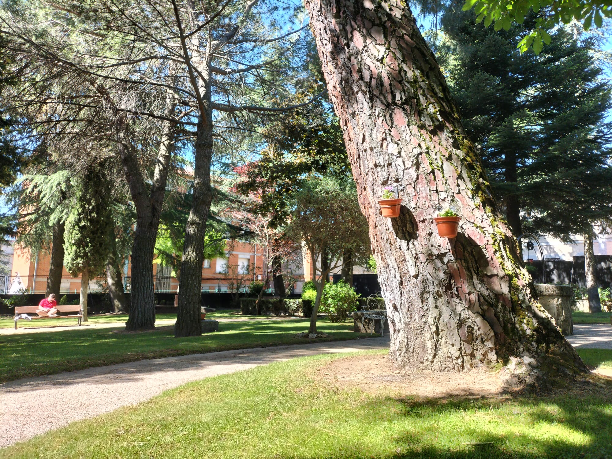 cercedilla2023 (1)