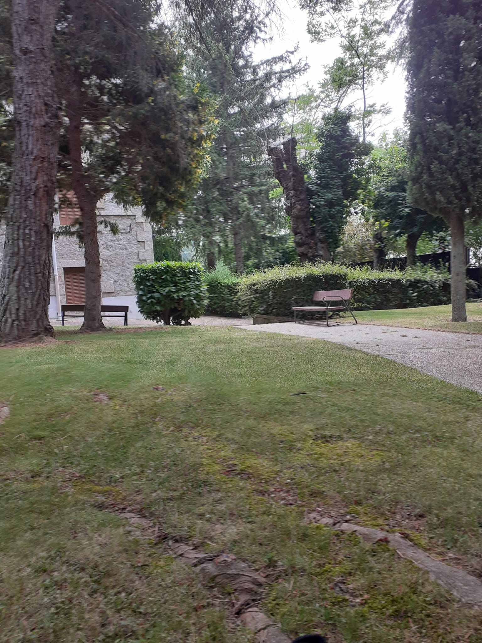 cercedilla2023 (13)