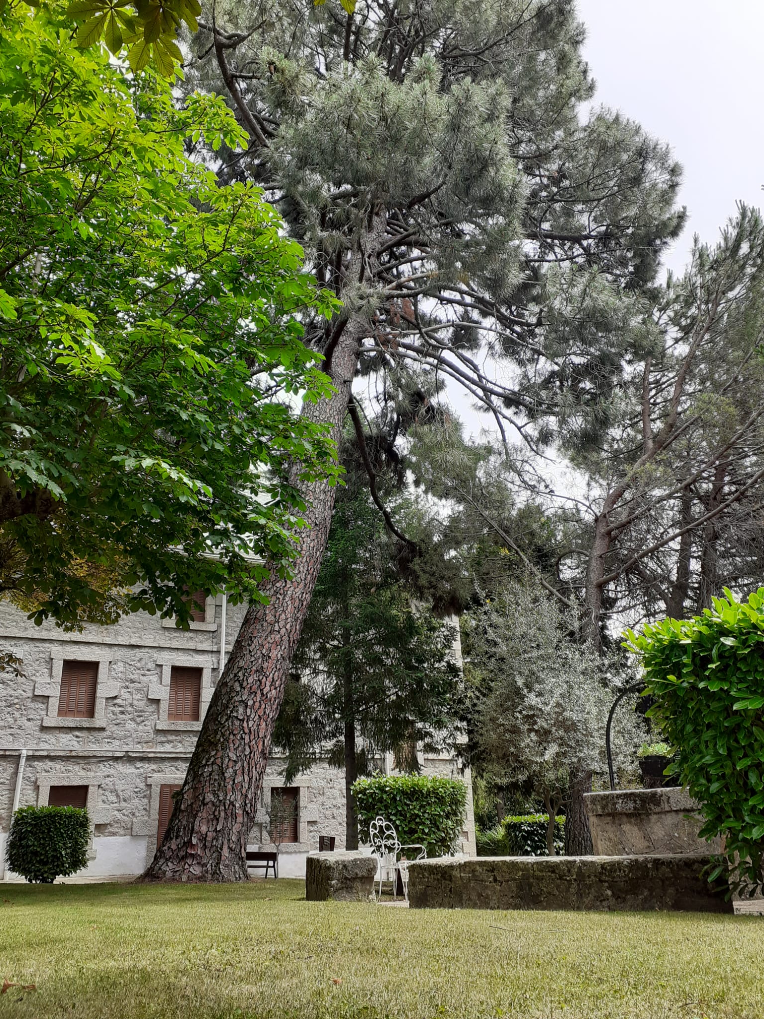 cercedilla2023 (4)