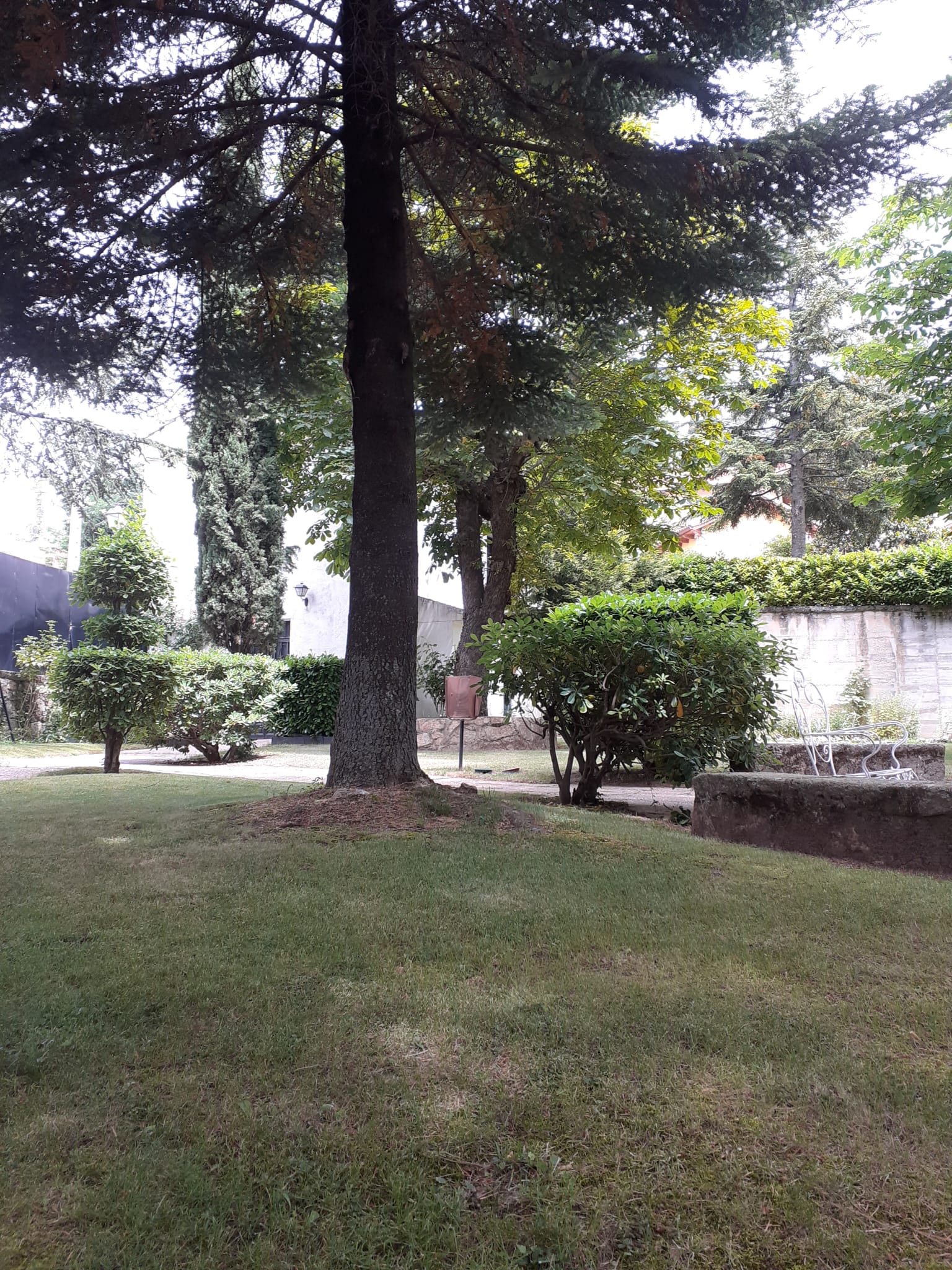 cercedilla2023 (8)